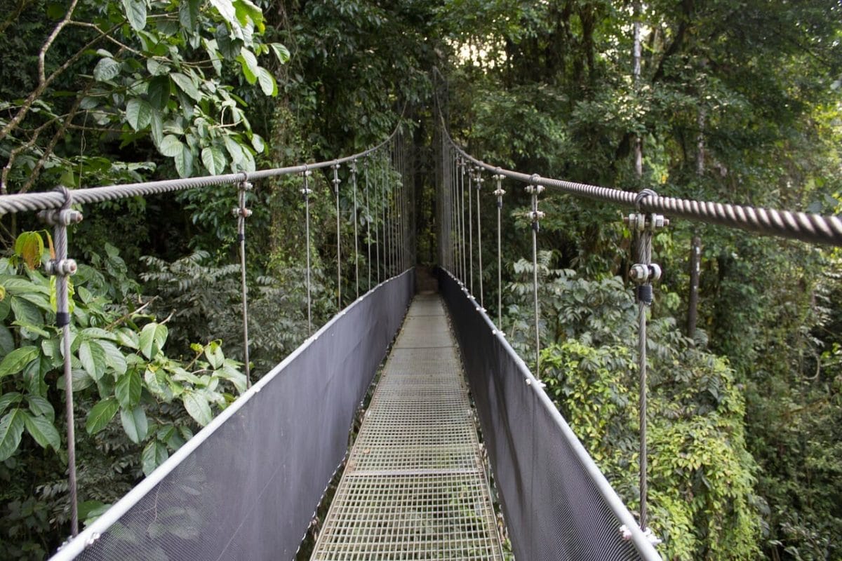 Hanging Bridge Costa Rica