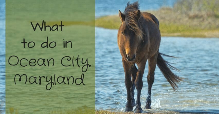 What to do in Ocean City, Maryland