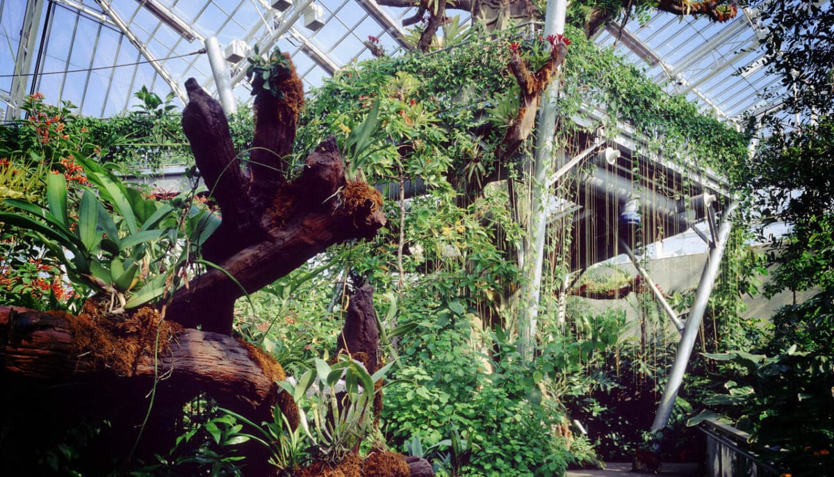 Stunning Furniture Marvellous Cleveland Botanical Gardens 50