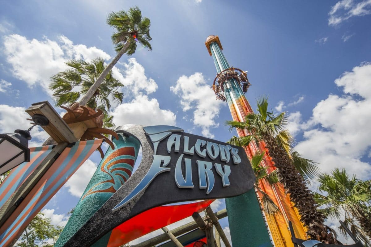 Falcon's Fury Busch Gardens Credit Visit Tampa