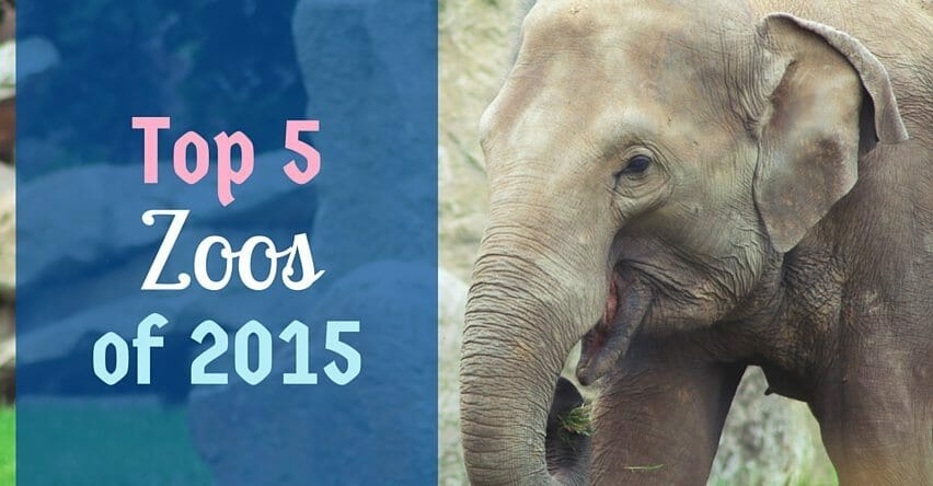 Top 5 Zoos of 2015