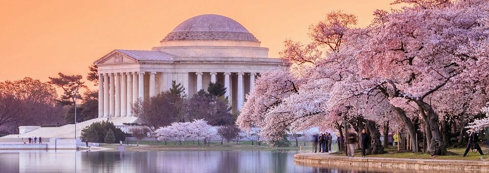 the Jefferson Memorial during the Cherry Blossom Festival. Washington, DC