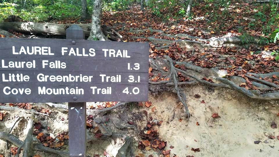 Smoky Mountain Hiking - Laurel Falls Danielle Breshears