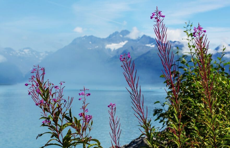 Landscapes of Alaska, United States