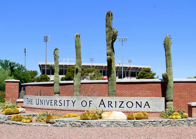 University of Arizona Pixabay Public Domain 