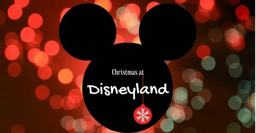 student trips christmas at disneyland