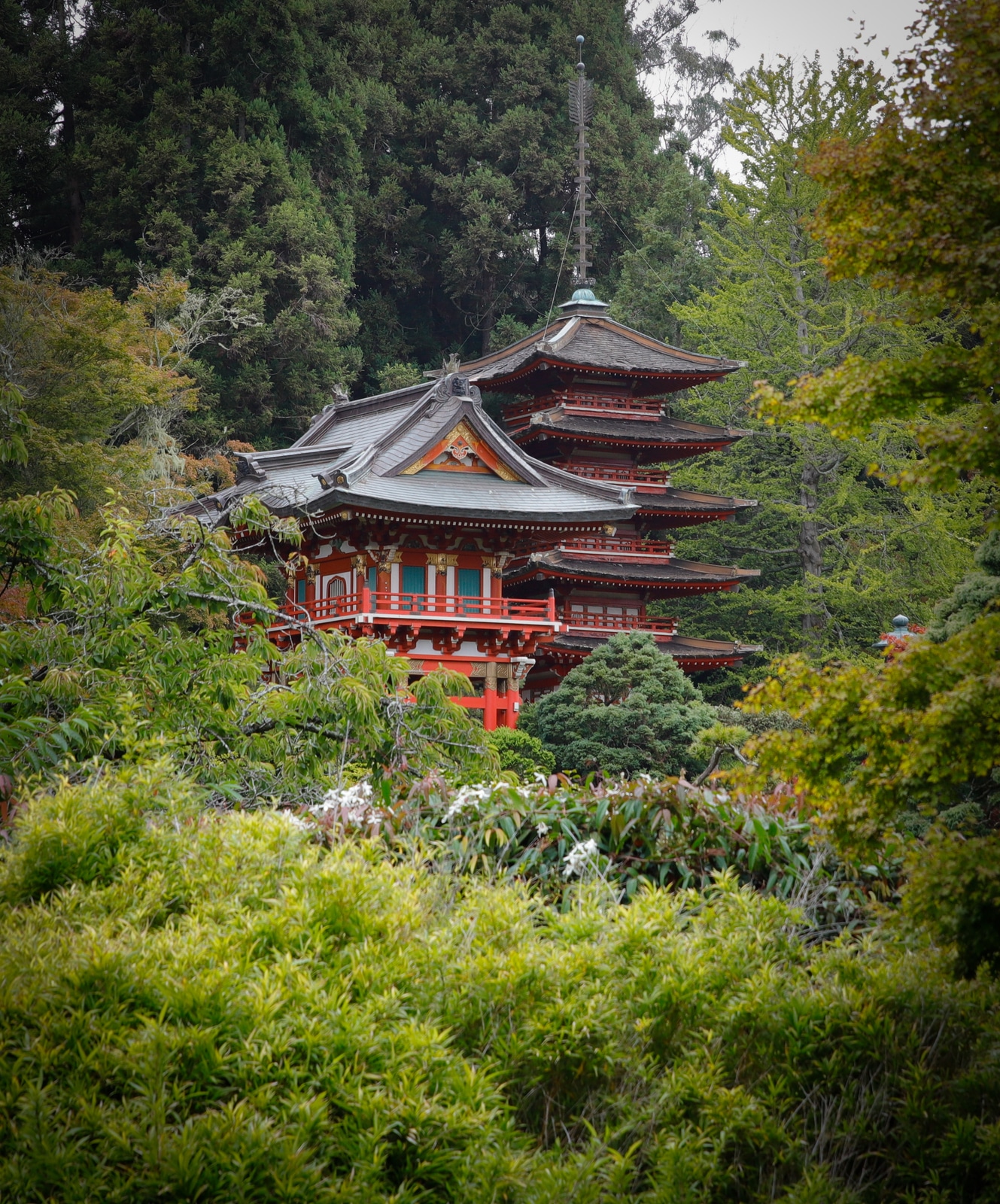 Japanese Tea Garden San Francisco Travel Association Photo