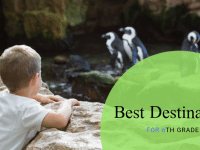 Best Destinations for 6th Grade Field Trips