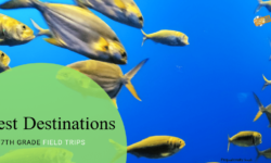 Best Destinations for 7th Grade Field Trips