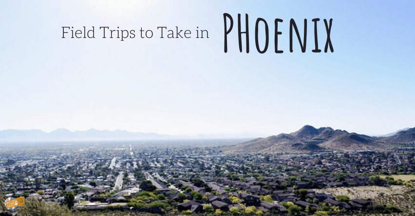 Field Trips to Take in Phoenix