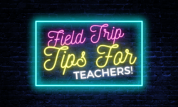 Field Trip Tips: 8 Tricks to Help Teachers